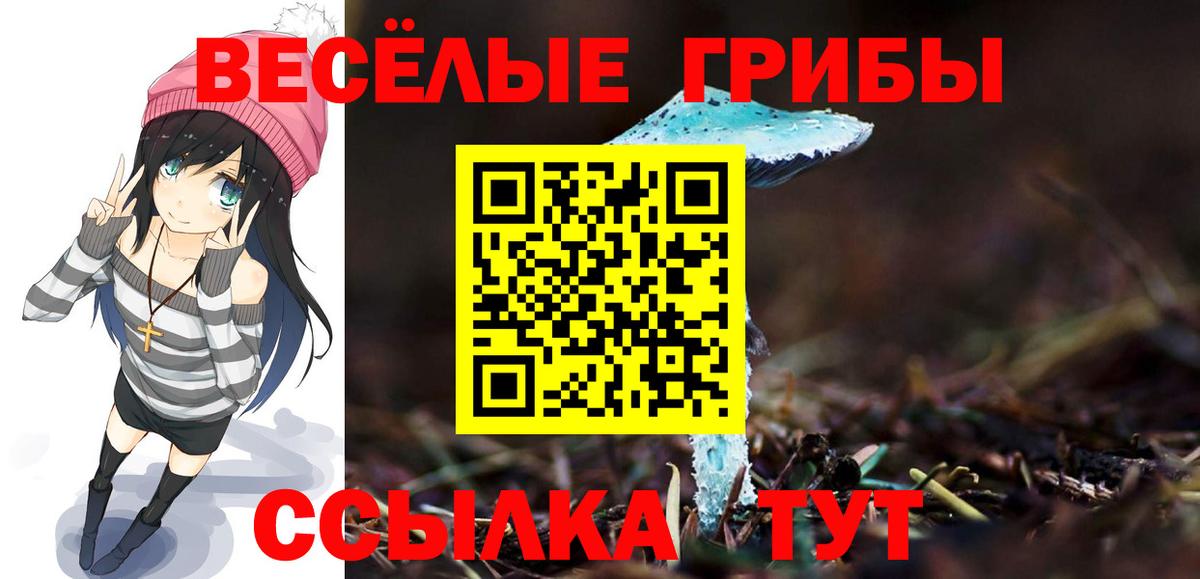 Галлюциногенные грибы Cubensis  Вход с VPN  Иркутск 